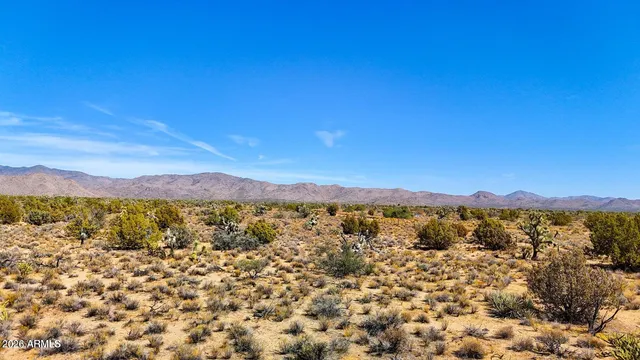 $30,000 | 38.82 South Acres Yucca Az 86438, Yucca, AZ 86438