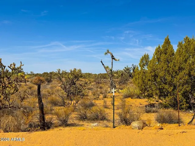 a view of city and mountain