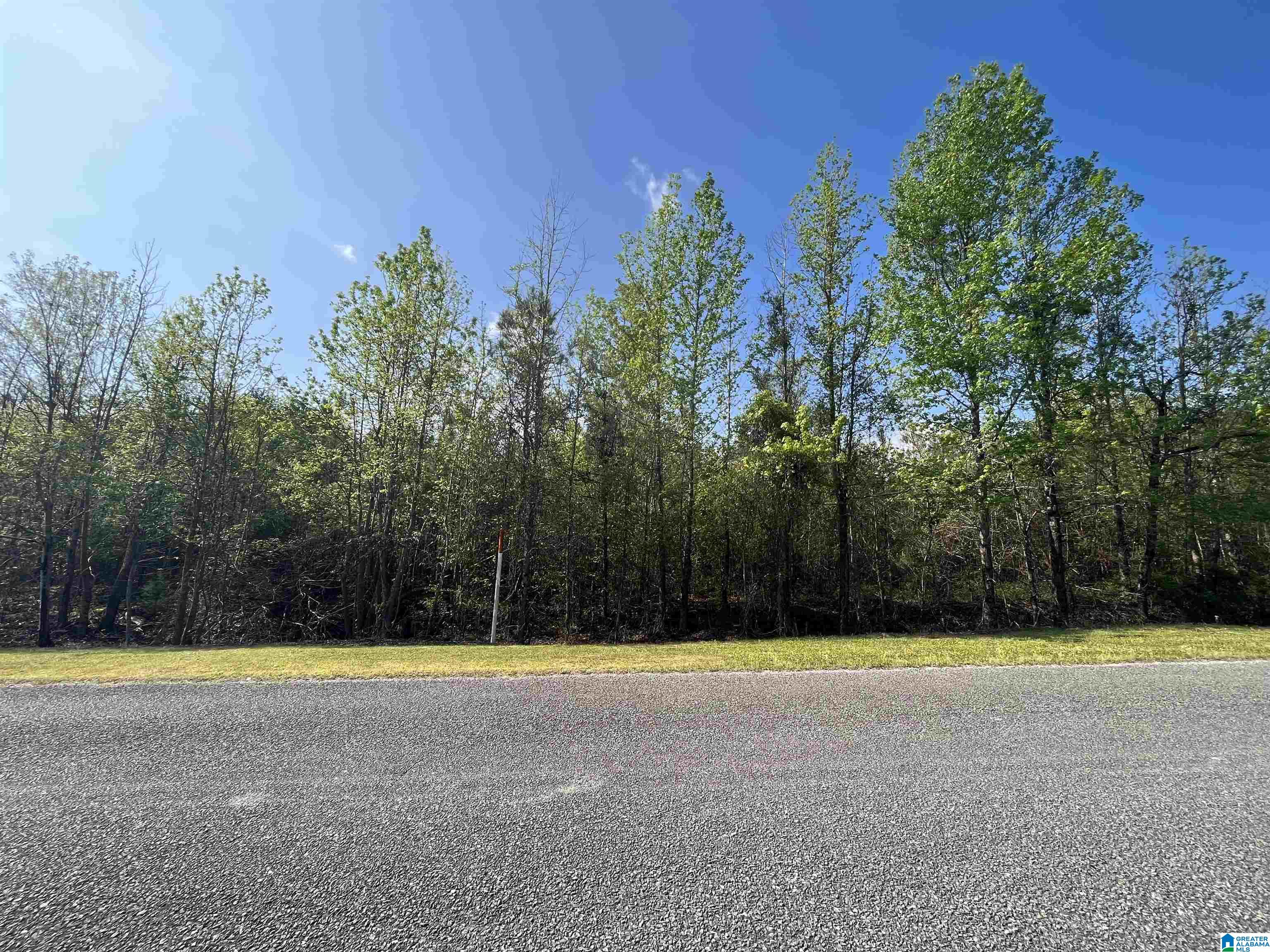 0 County Road 53, Unit 1 Clanton, AL 35045 - Photo 1 of 3