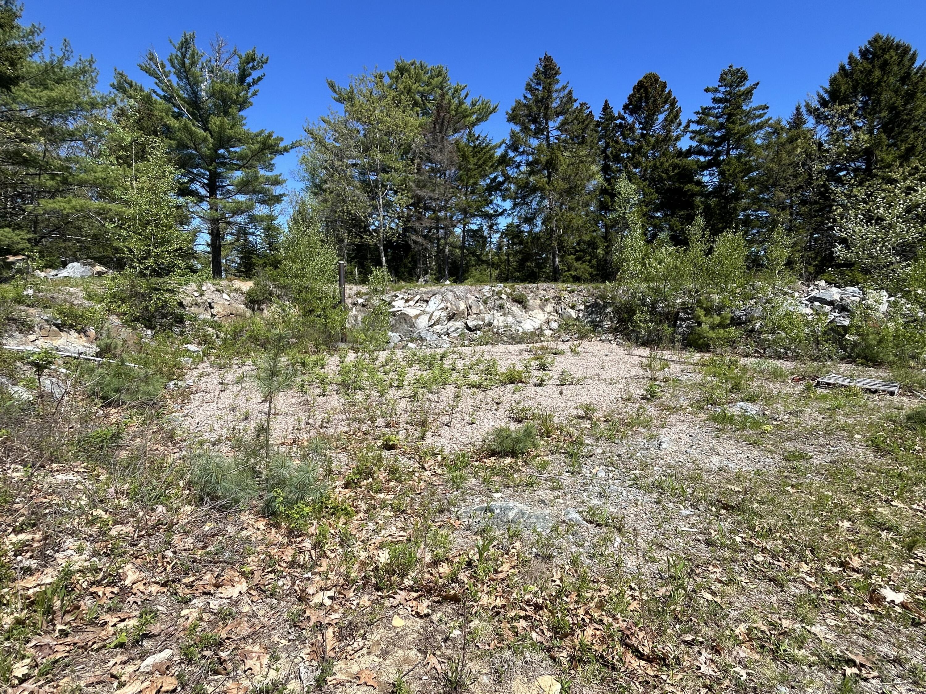 3 Cemetery Road Gouldsboro, ME 04607 - Photo 4 of 21 House site and well