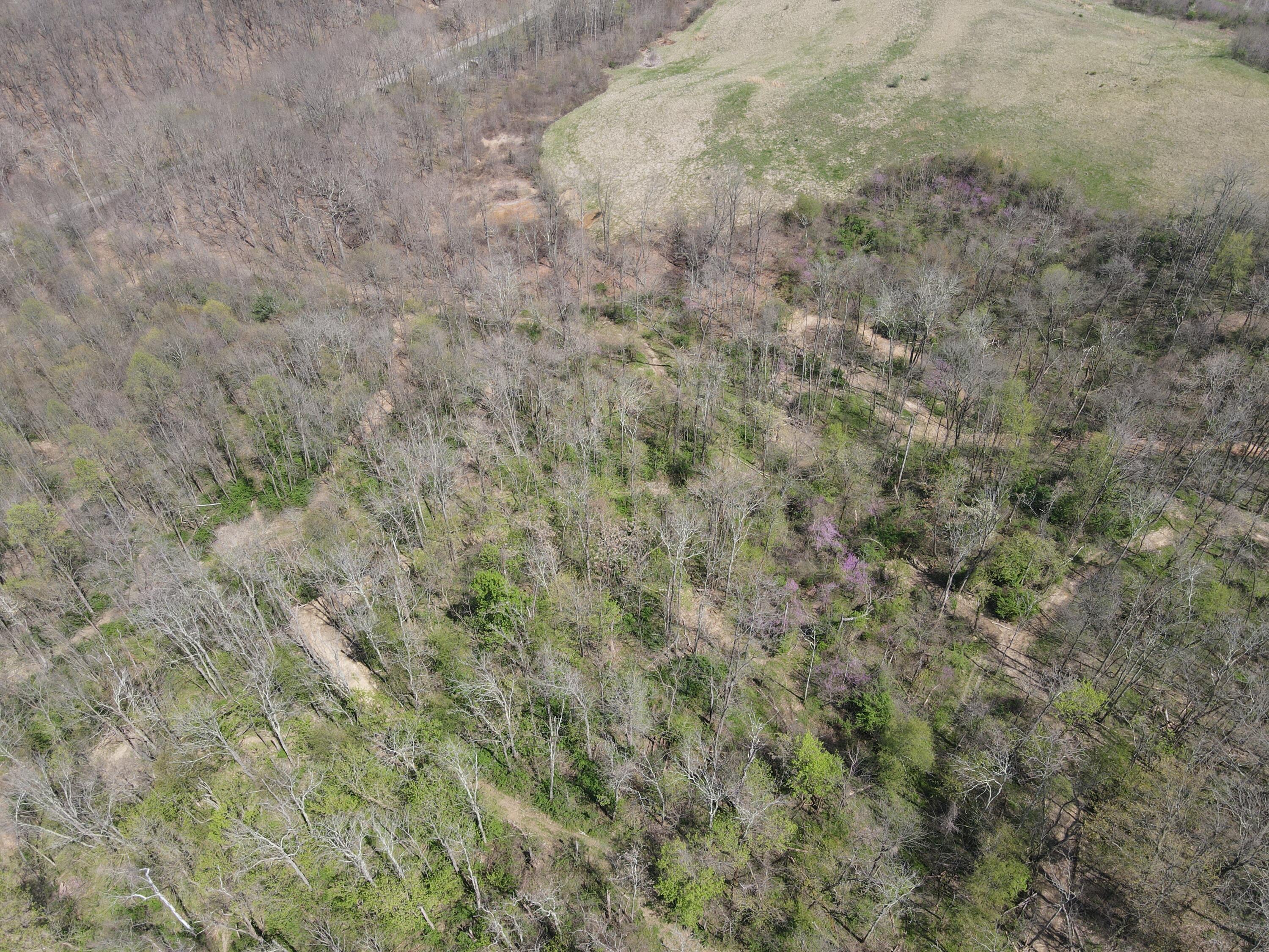 8670 Hoop Pole Road Roseville, OH 43777 - Photo 59 of 65 DJI_0012