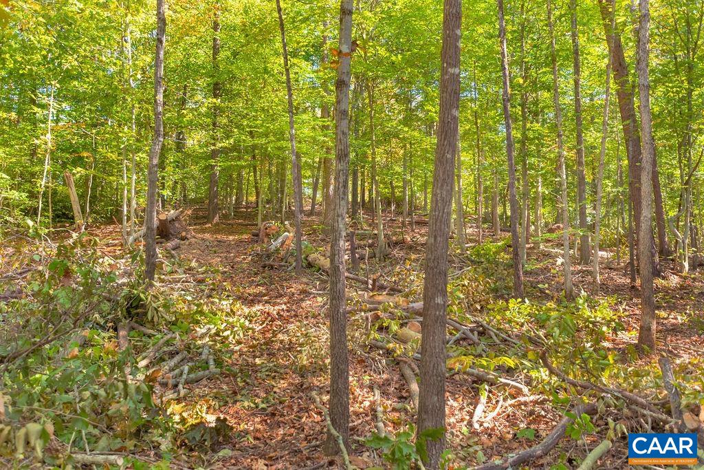 4 Brocks Mill Road Barboursville, VA 22923 - Photo 7 of 10 Gallery Image 7