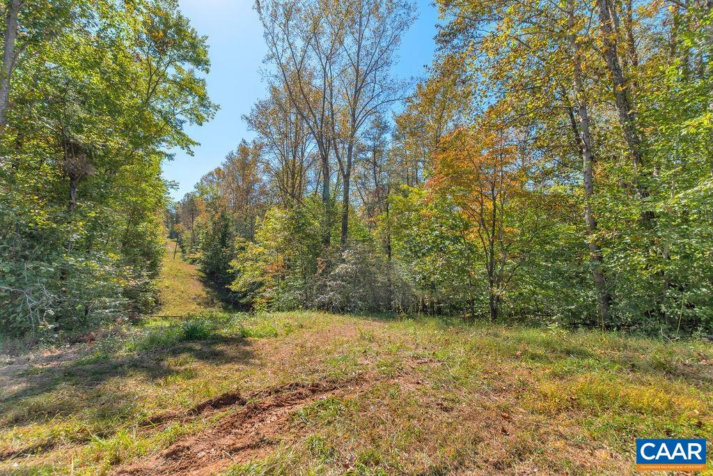 4 Brocks Mill Road Barboursville, VA 22923 - Photo 10 of 10 Gallery Image 10