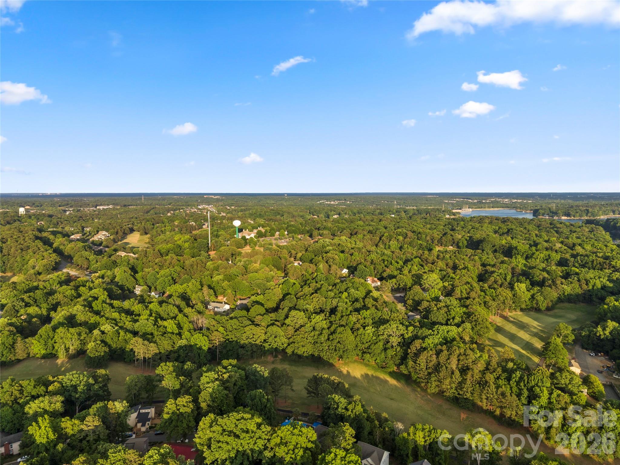 3072 Point Clear Drive Tega Cay, SC 29708 - Photo 40 of 47