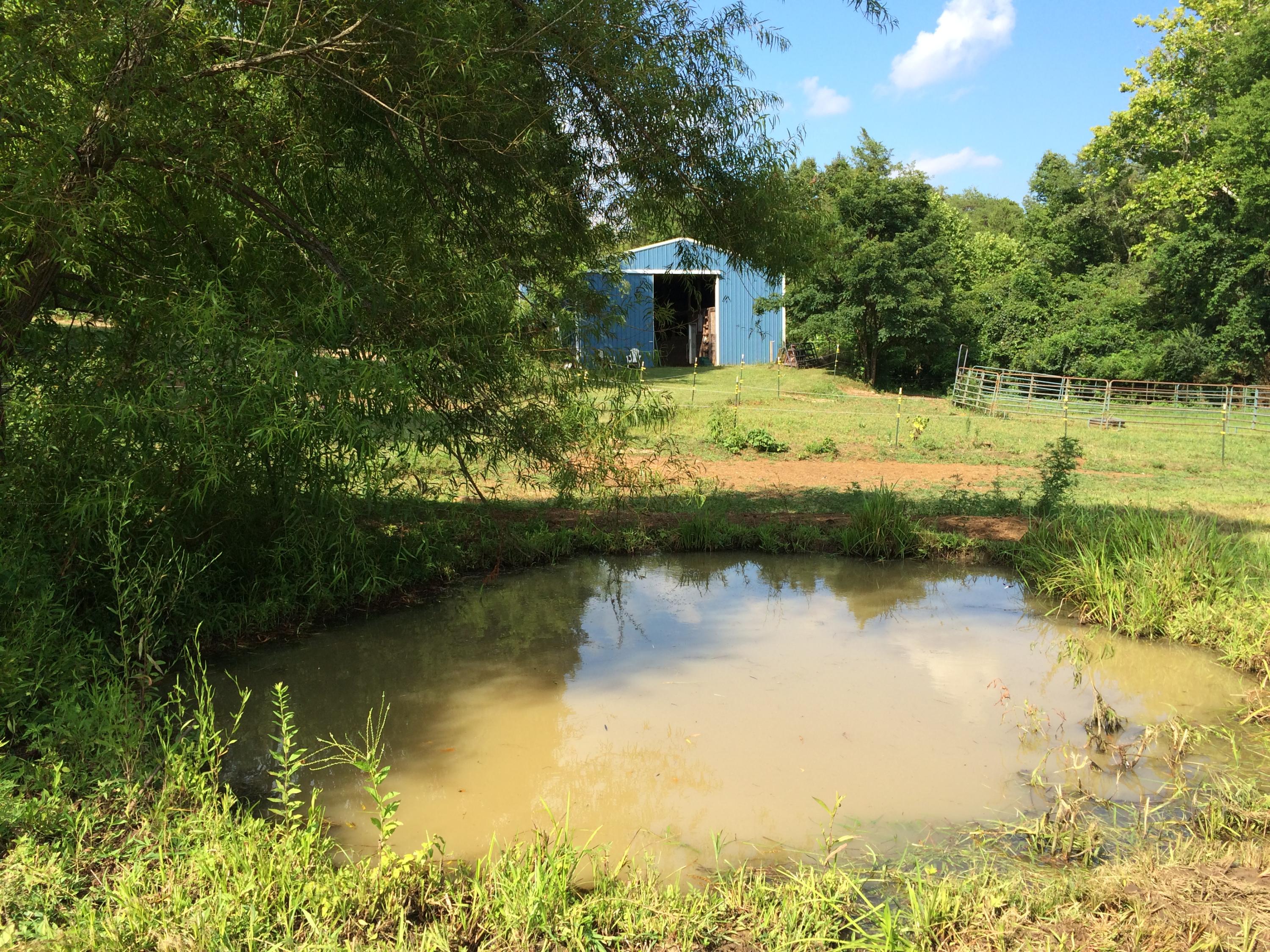 3418 Ralph Phelps Road Louisville, TN 37777 - Photo 15 of 38 Pond and Barn