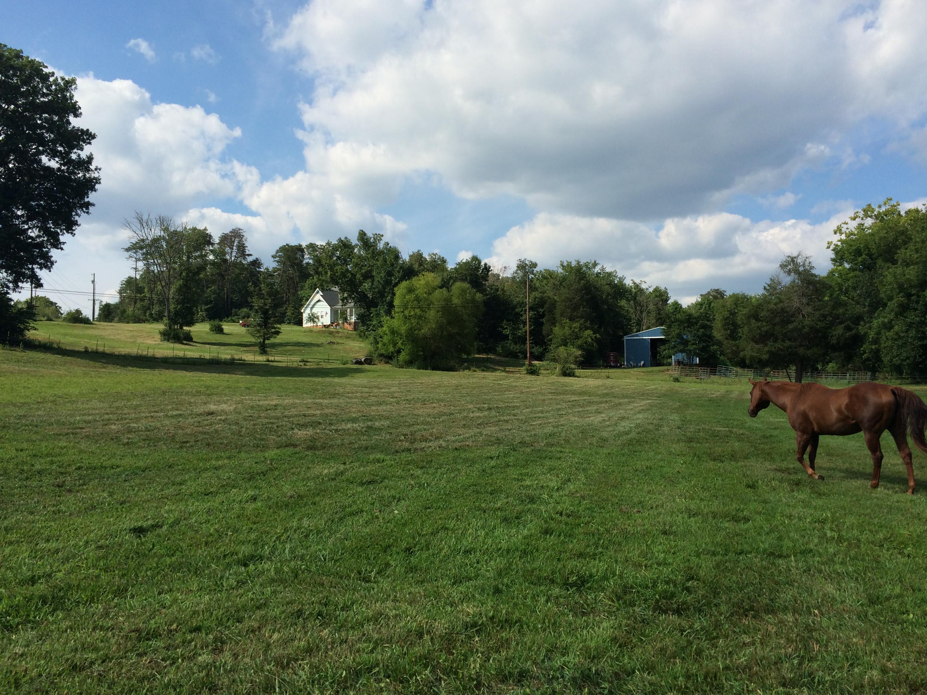 3418 Ralph Phelps Road Louisville, TN 37777 - Photo 18 of 38 Large pasture