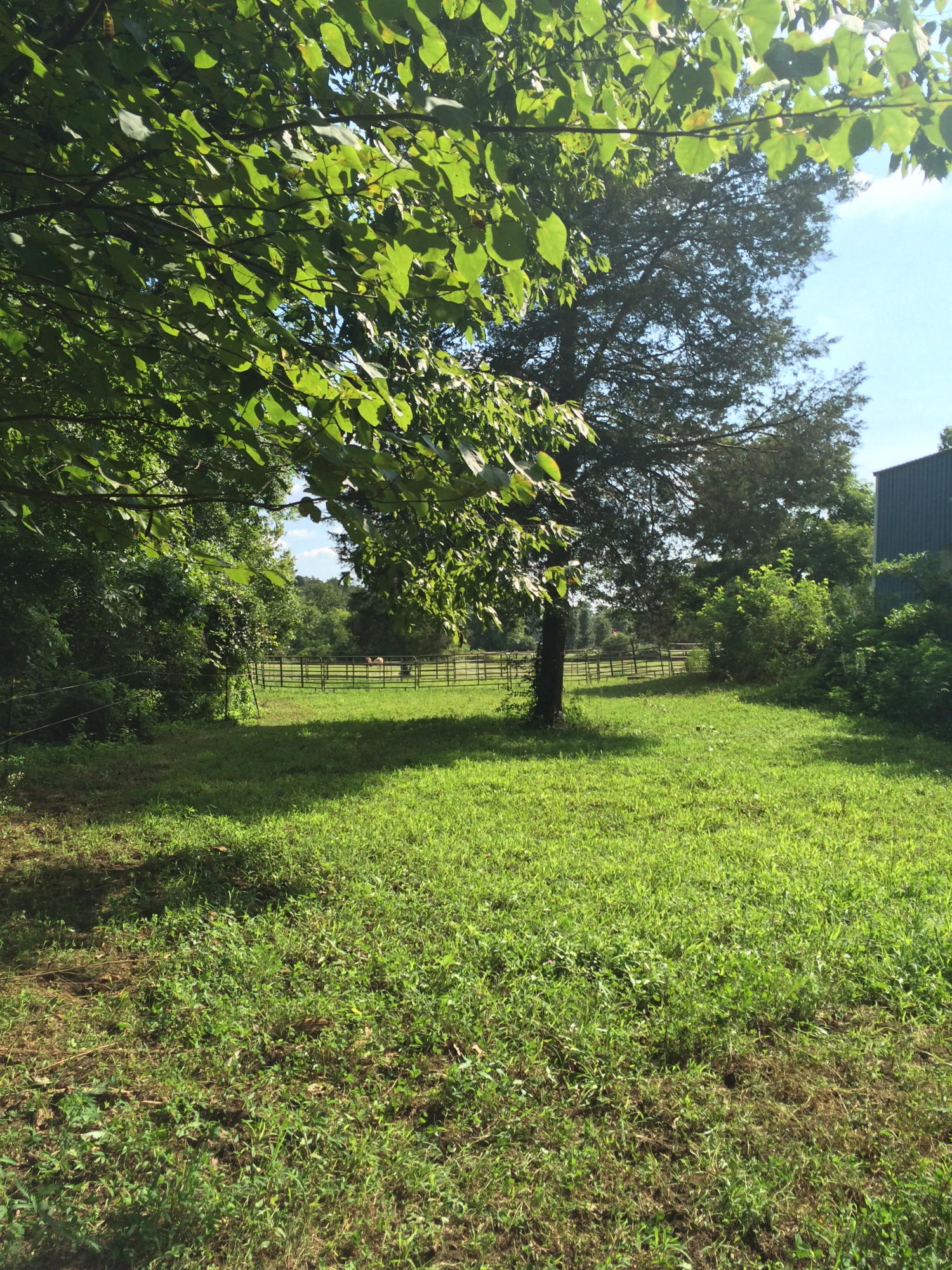 3418 Ralph Phelps Road Louisville, TN 37777 - Photo 20 of 38 View behind Barn