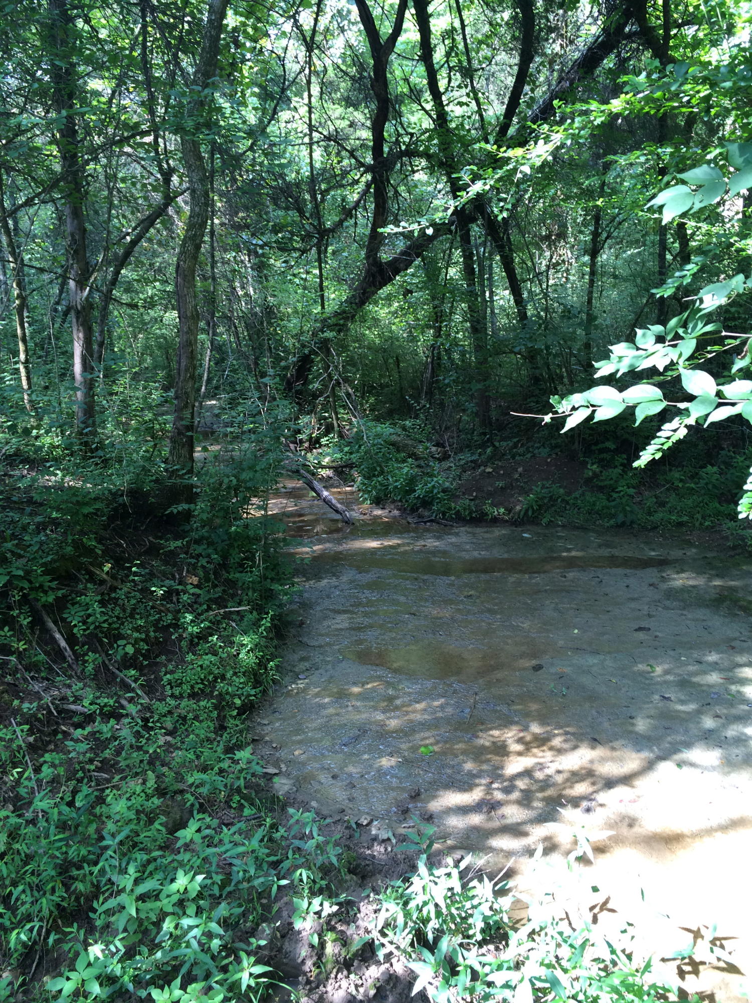 3418 Ralph Phelps Road Louisville, TN 37777 - Photo 21 of 38 Fox Creek in lower pasture