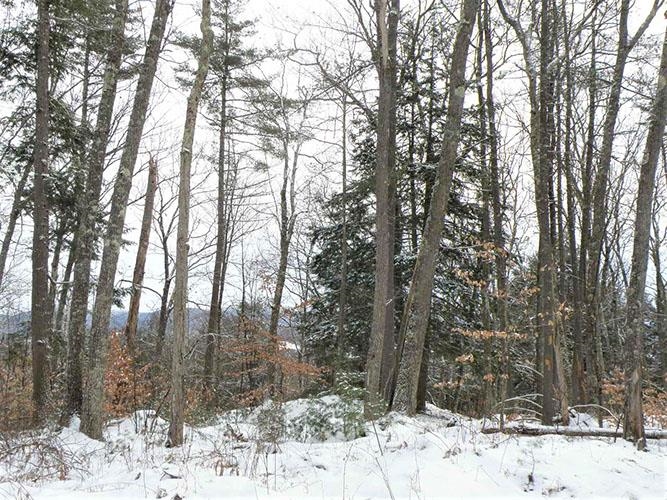 0 Denio Road East Ryegate, VT 05042 - Photo 1 of 11