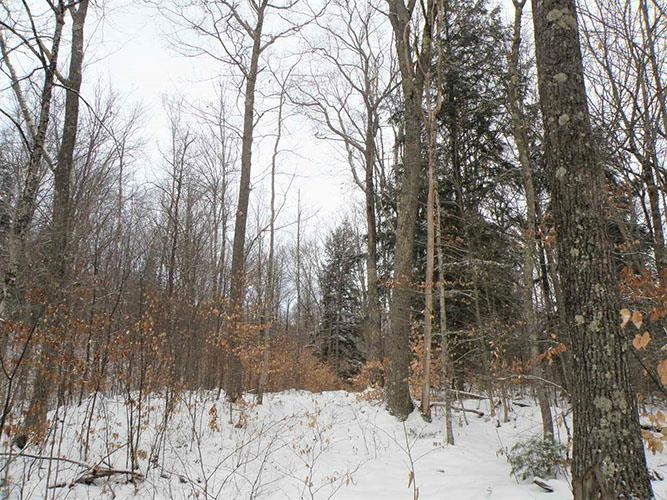 0 Denio Road East Ryegate, VT 05042 - Photo 7 of 11