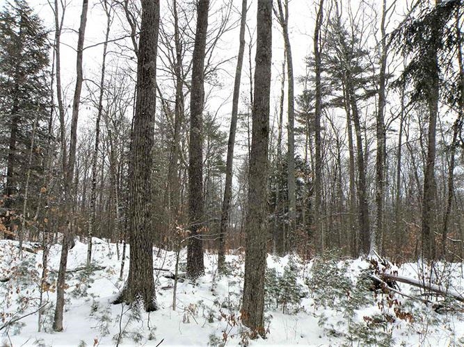 0 Denio Road East Ryegate, VT 05042 - Photo 8 of 11