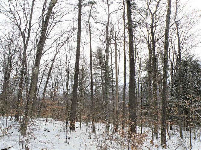 0 Denio Road East Ryegate, VT 05042 - Photo 9 of 11