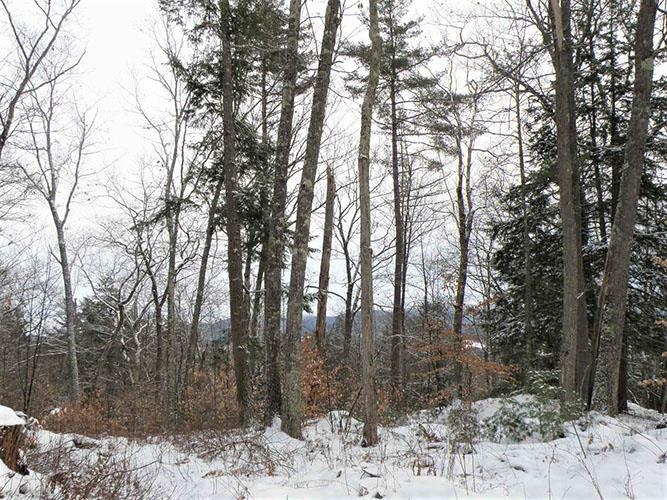 0 Denio Road East Ryegate, VT 05042 - Photo 10 of 11