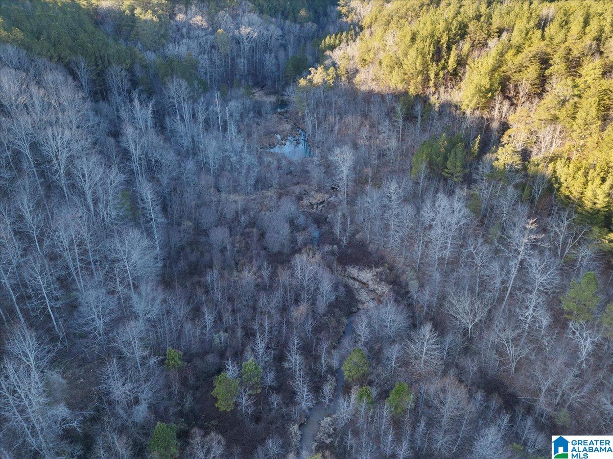 0 Smith Road Boaz, AL 35957 - Photo 8 of 27 Gallery Image 8