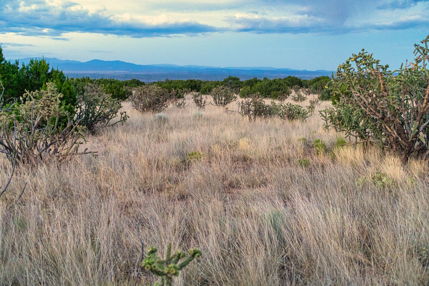 509 Gold Mine Road Cerrillos, NM 87010 - Photo 7 of 20