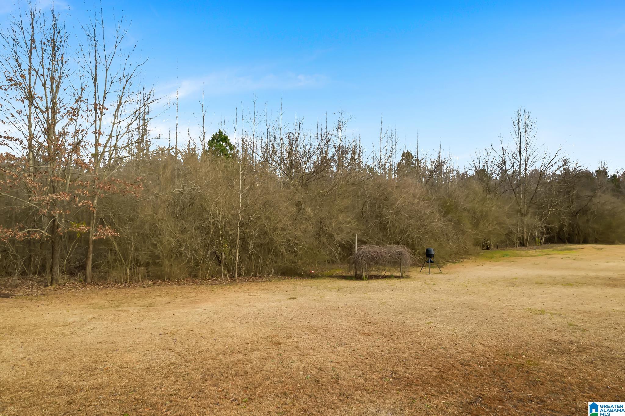 2644 Corner Road Warrior, AL 35180 - Photo 41 of 50 Gallery Image 41