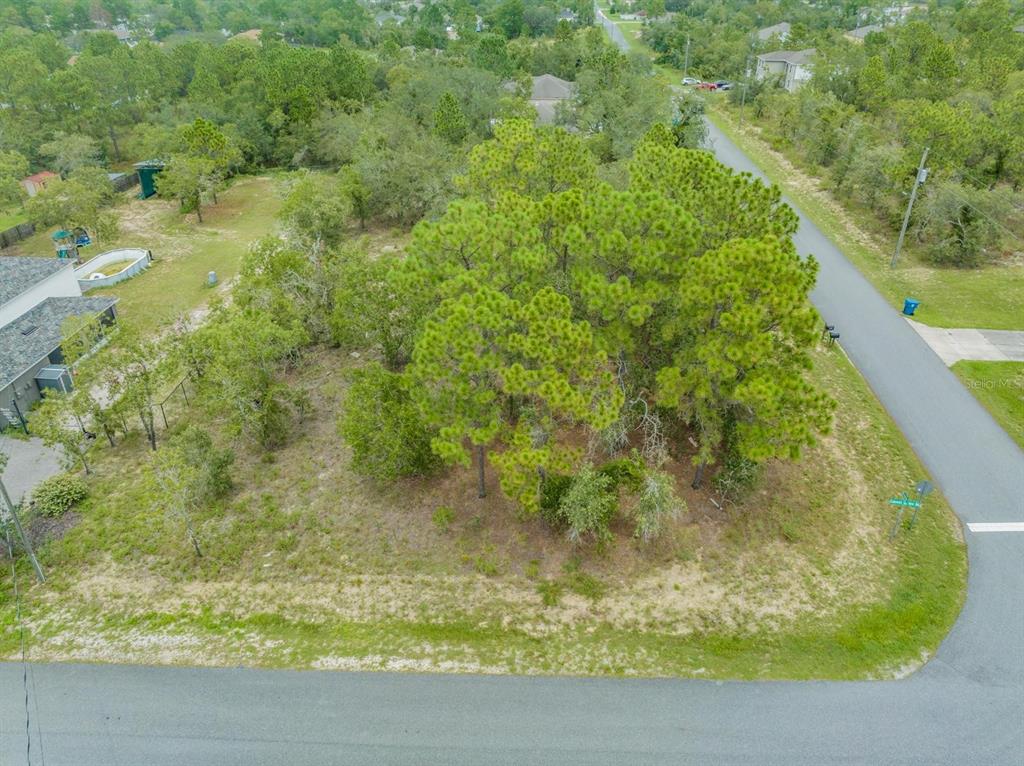 10335 Flycatcher Road Brooksville, FL 34613 - Photo 1 of 1 Gallery Image 1