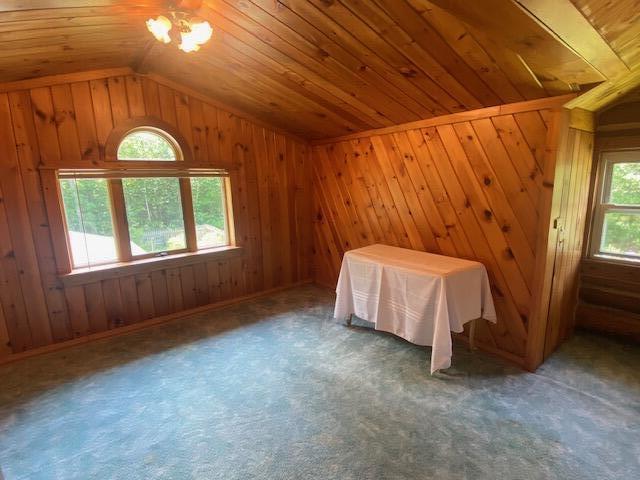 1160 Main Road Greenbush, ME 04418 - Photo 29 of 74 IMG_8406