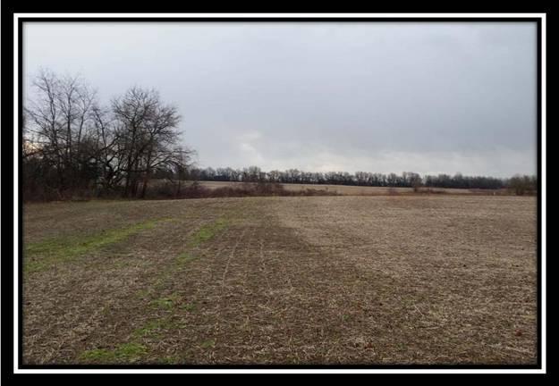 5281 Green Cook Road New Albany, OH 43054 - Photo 7 of 14