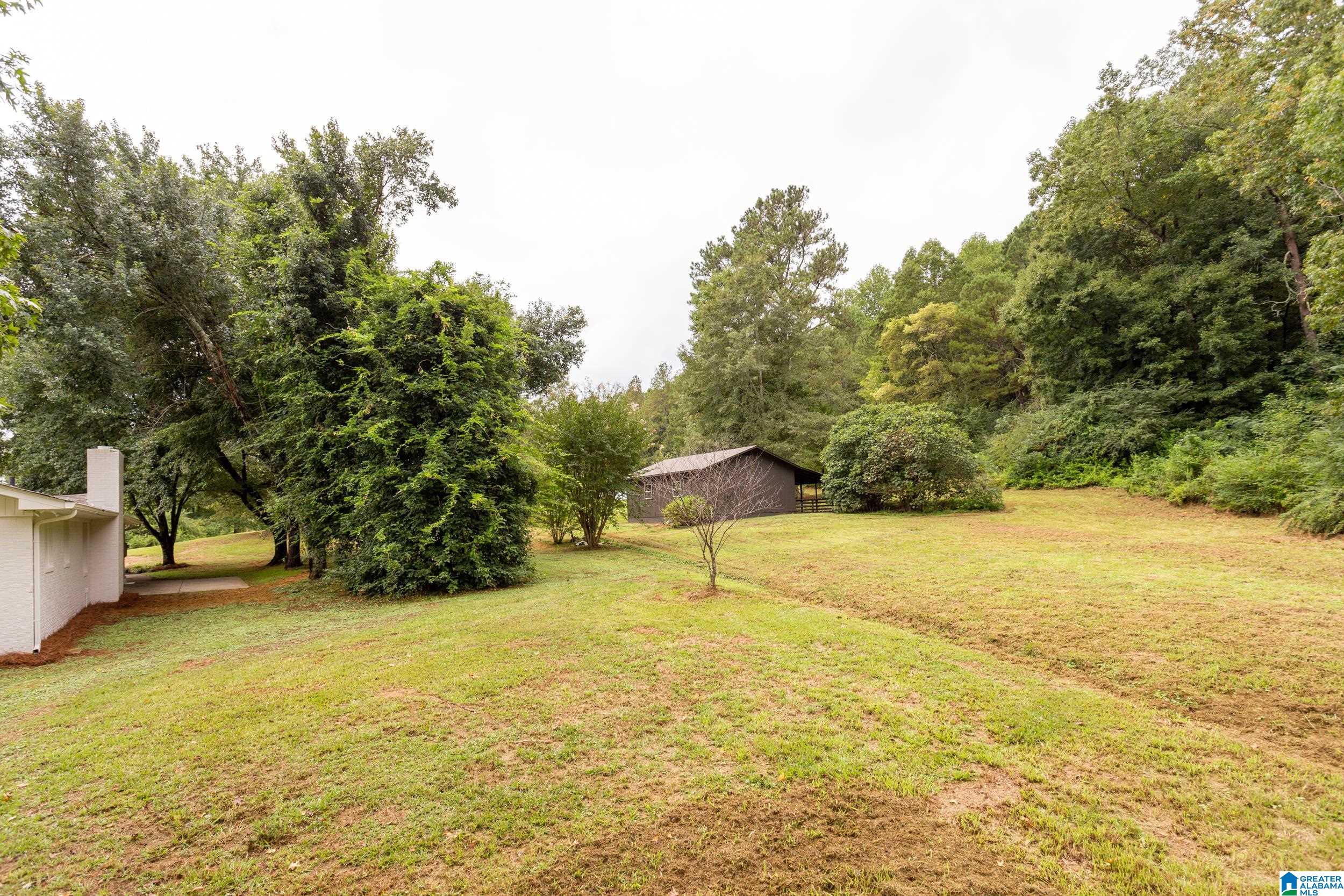 711 Wolf Creek Road South Pell City, AL 35128 - Photo 29 of 40