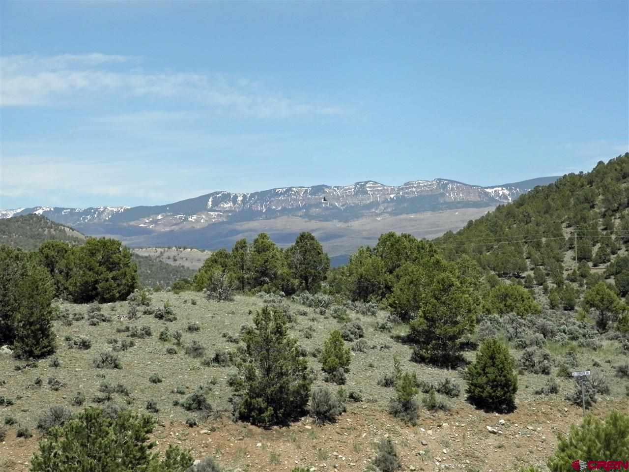 211 Rabbit Brush Court Ridgway, CO 81432 - Photo 12 of 14 Gallery Image 12