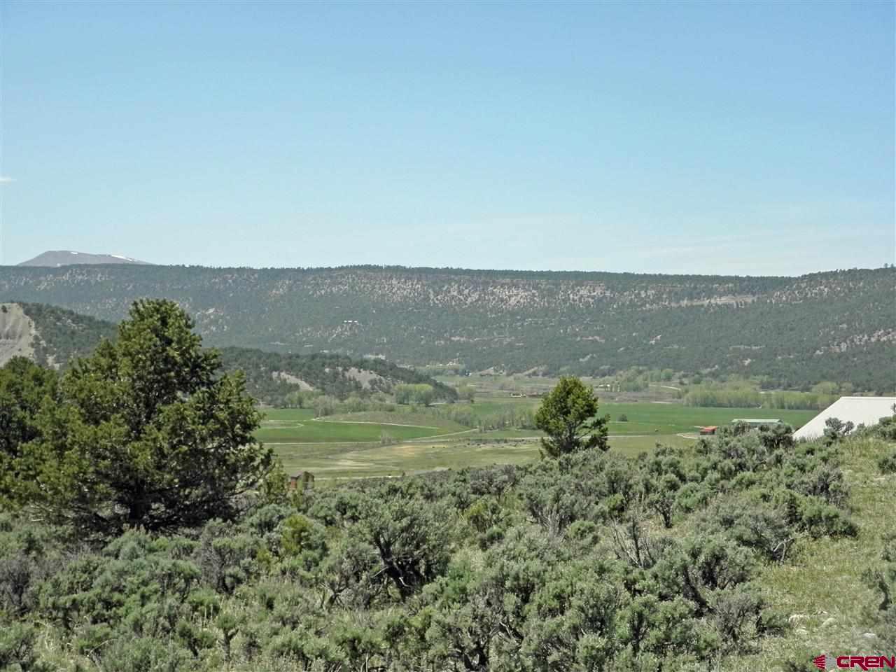 211 Rabbit Brush Court Ridgway, CO 81432 - Photo 13 of 14 Gallery Image 13
