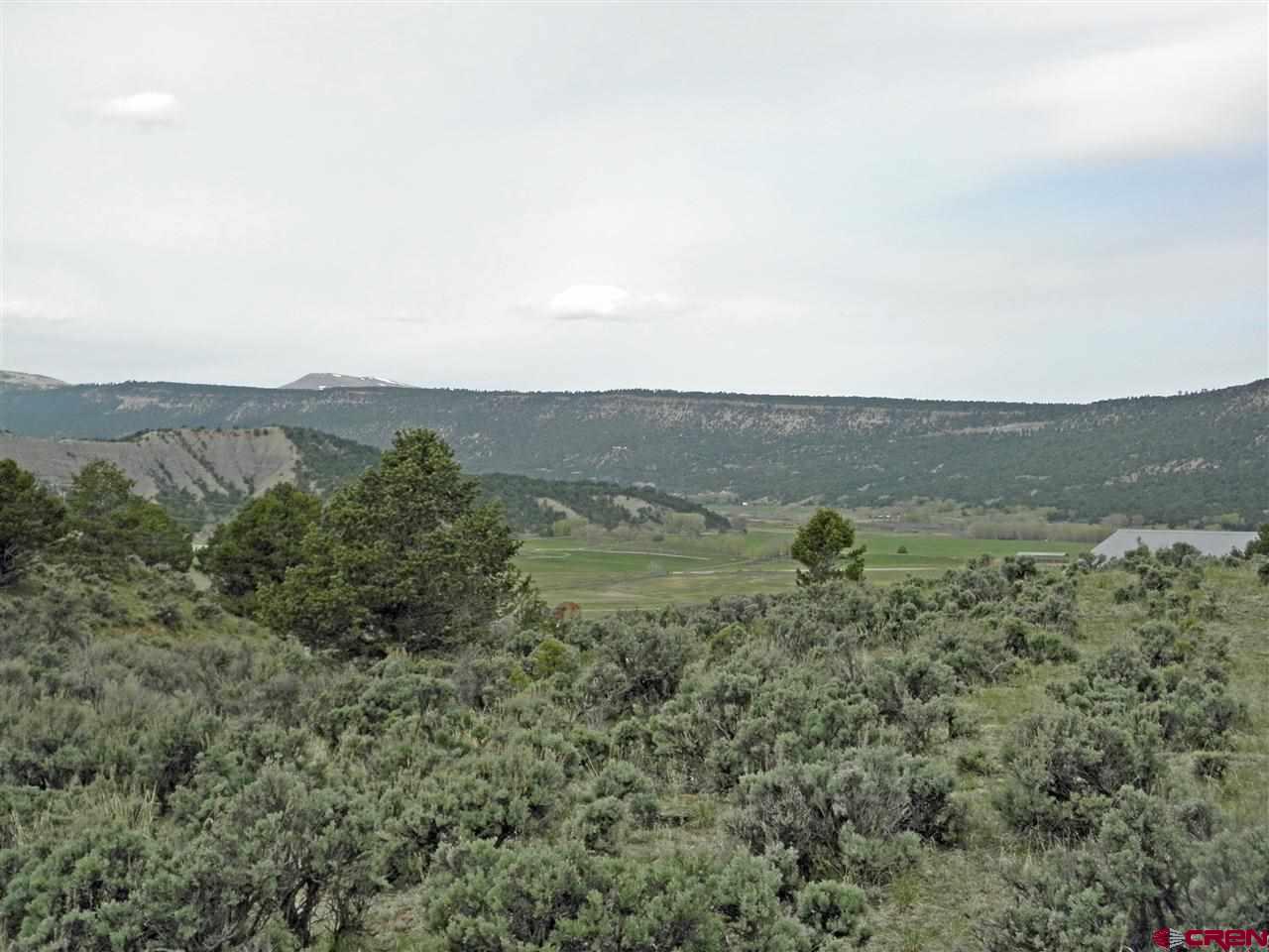 211 Rabbit Brush Court Ridgway, CO 81432 - Photo 2 of 14 Gallery Image 2