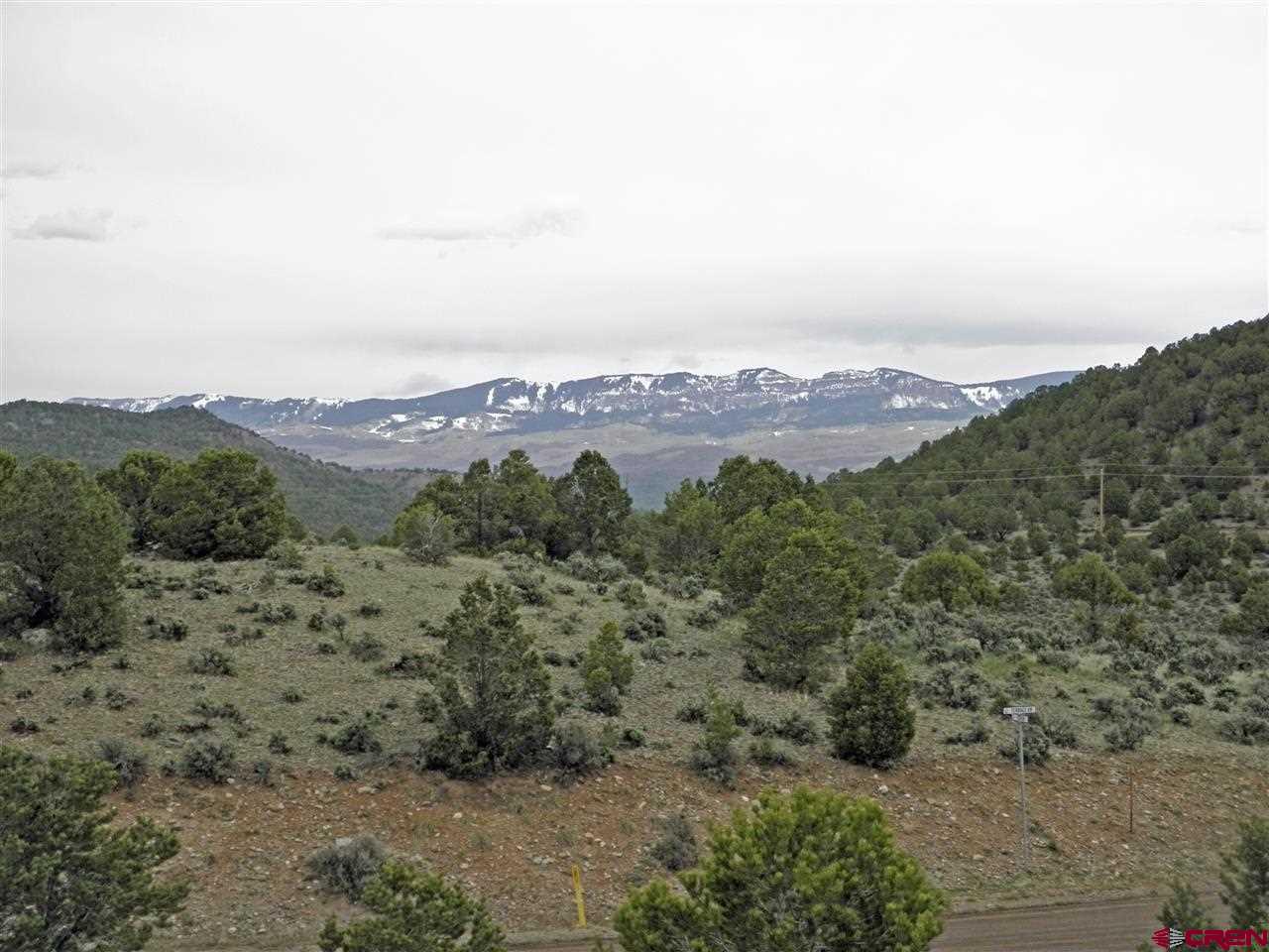 211 Rabbit Brush Court Ridgway, CO 81432 - Photo 4 of 14 Gallery Image 4