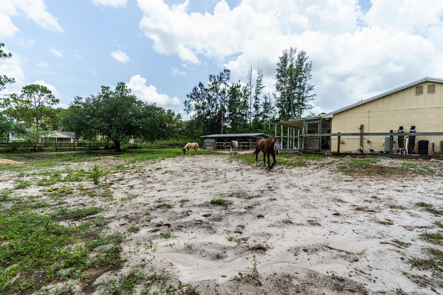 16406 88th Road North Loxahatchee, FL 33470 - Photo 21 of 29 Backyard