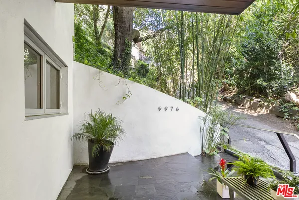 a potted plant sitting in front of a house