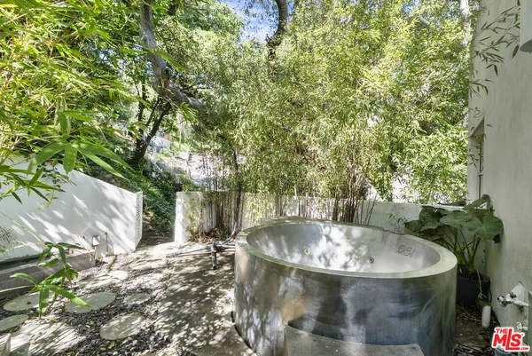 a view of a tree in a yard