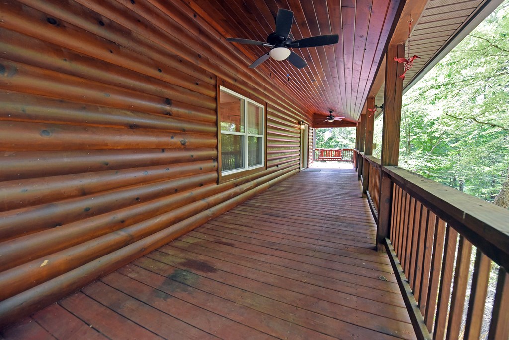 3373 Hardscrabble Road Mineral Bluff, GA 30559 - Photo 11 of 50