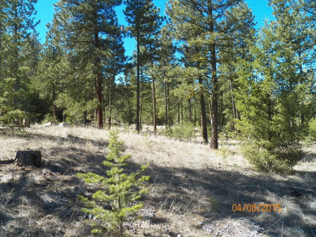 0 Lot 102 Red Feather Road West Riverside, WA 98849 - Photo 2 of 25 Gallery Image 2