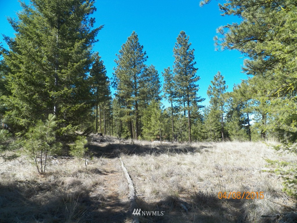 0 Lot 102 Red Feather Road West Riverside, WA 98849 - Photo 11 of 25 Gallery Image 11