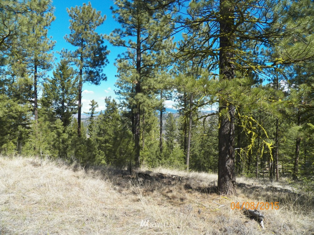 0 Lot 102 Red Feather Road West Riverside, WA 98849 - Photo 12 of 25 Gallery Image 12