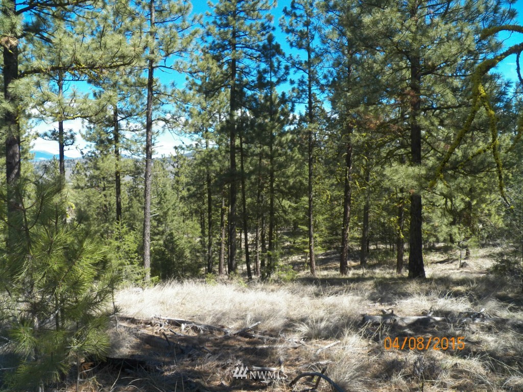 0 Lot 102 Red Feather Road West Riverside, WA 98849 - Photo 13 of 25 Gallery Image 13