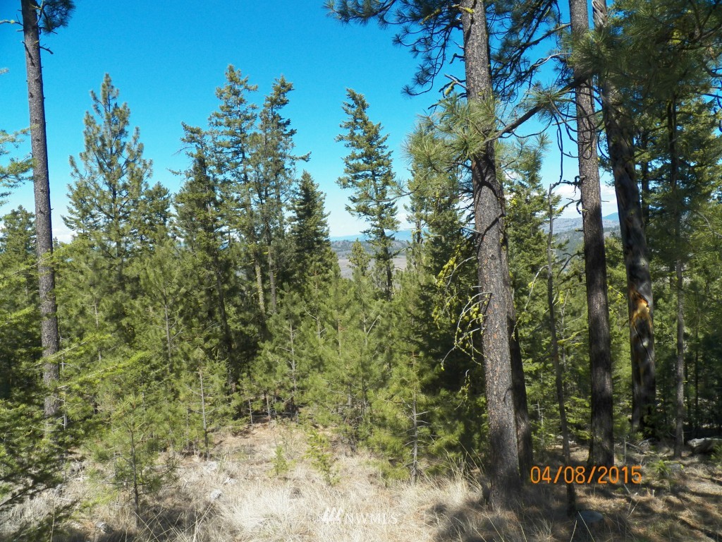 0 Lot 102 Red Feather Road West Riverside, WA 98849 - Photo 18 of 25 Gallery Image 18