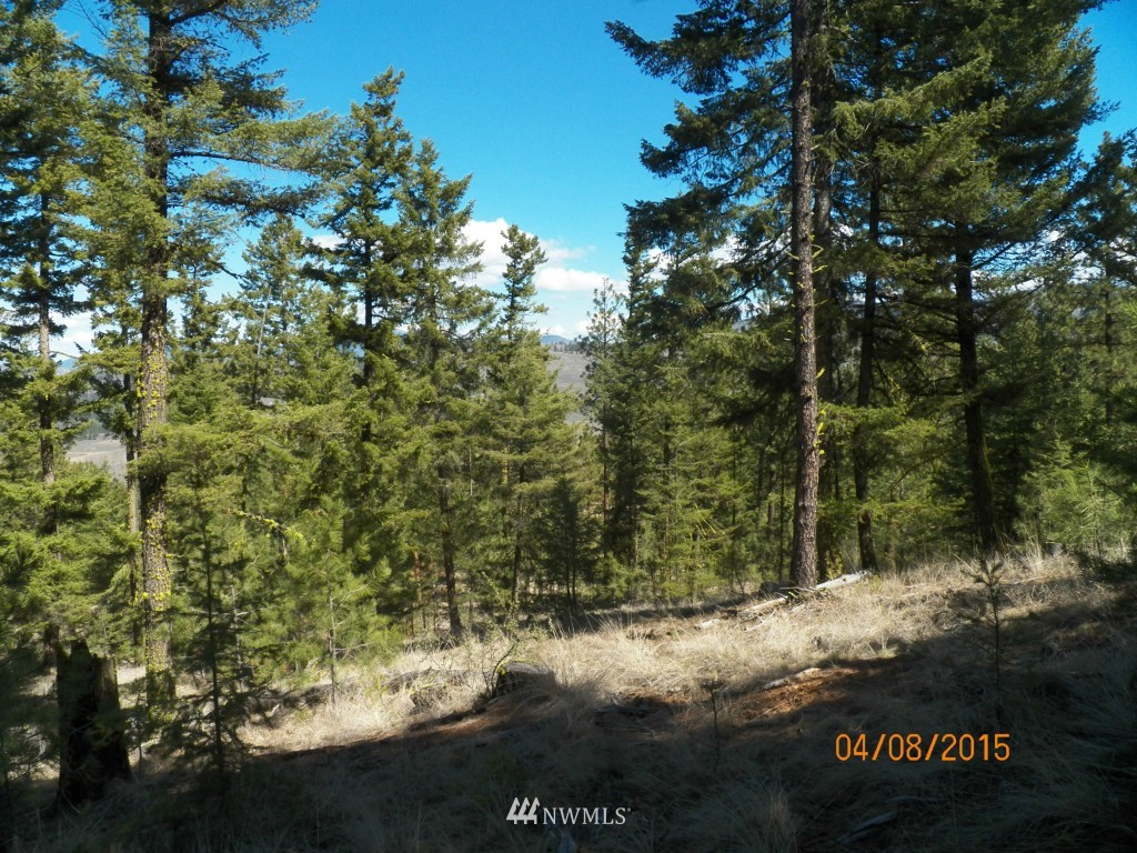 0 Lot 102 Red Feather Road West Riverside, WA 98849 - Photo 19 of 25 Gallery Image 19