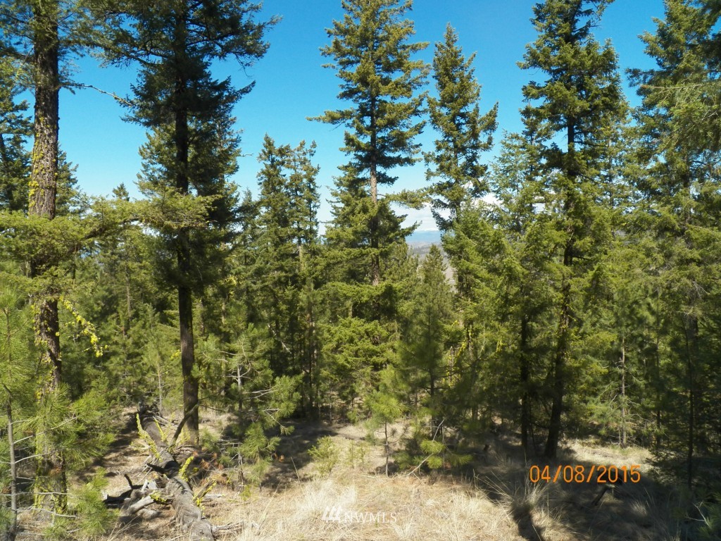 0 Lot 102 Red Feather Road West Riverside, WA 98849 - Photo 20 of 25 Gallery Image 20