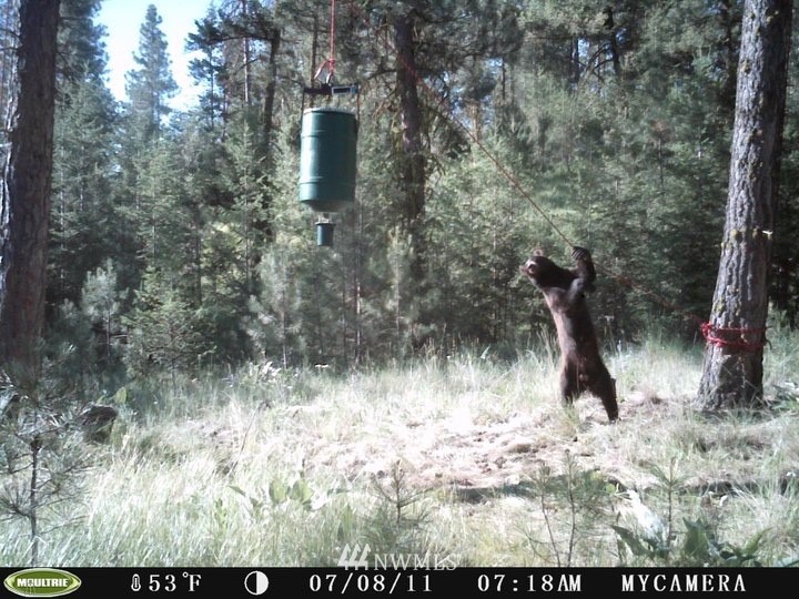 0 Lot 102 Red Feather Road West Riverside, WA 98849 - Photo 3 of 25 Gallery Image 3