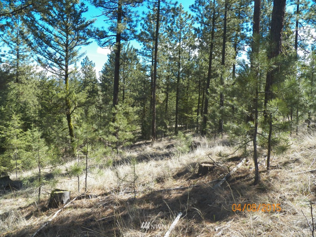 0 Lot 102 Red Feather Road West Riverside, WA 98849 - Photo 22 of 25 Gallery Image 22