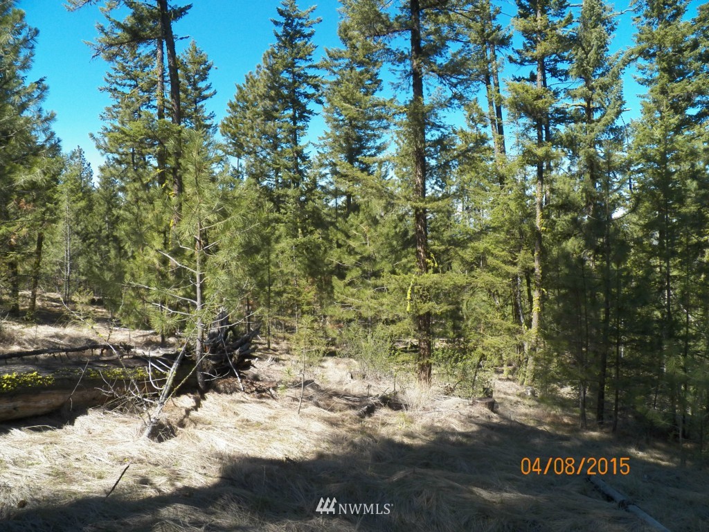 0 Lot 102 Red Feather Road West Riverside, WA 98849 - Photo 23 of 25 Gallery Image 23