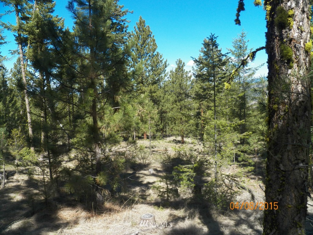 0 Lot 102 Red Feather Road West Riverside, WA 98849 - Photo 24 of 25 Gallery Image 24