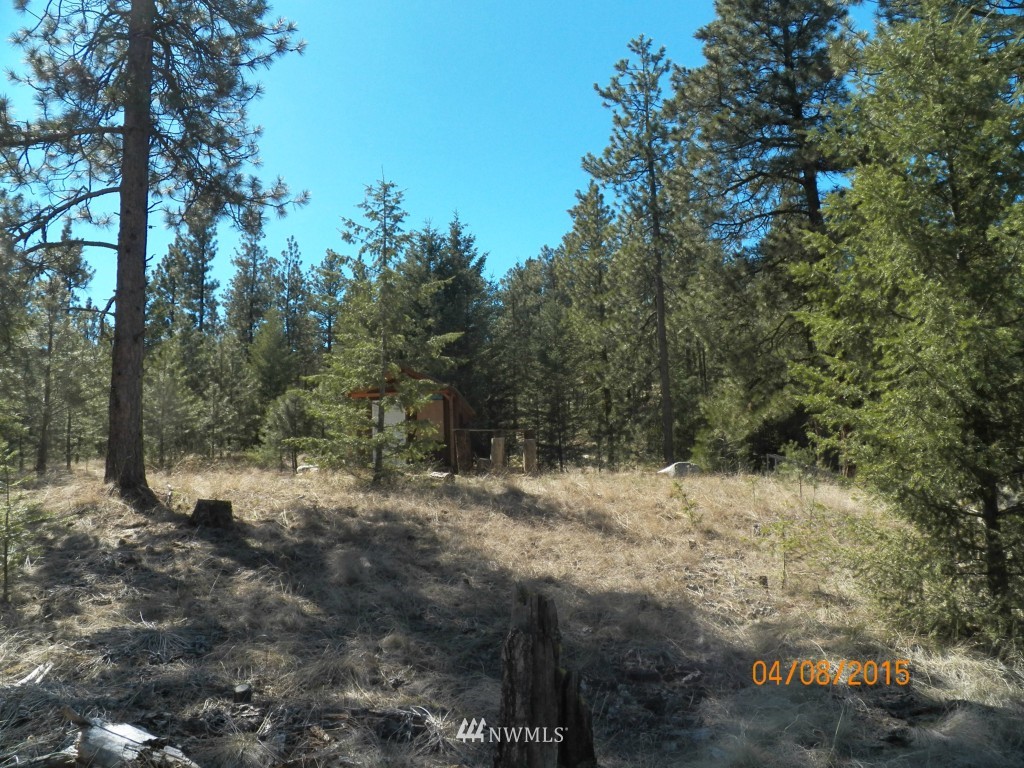 0 Lot 102 Red Feather Road West Riverside, WA 98849 - Photo 25 of 25 Gallery Image 25