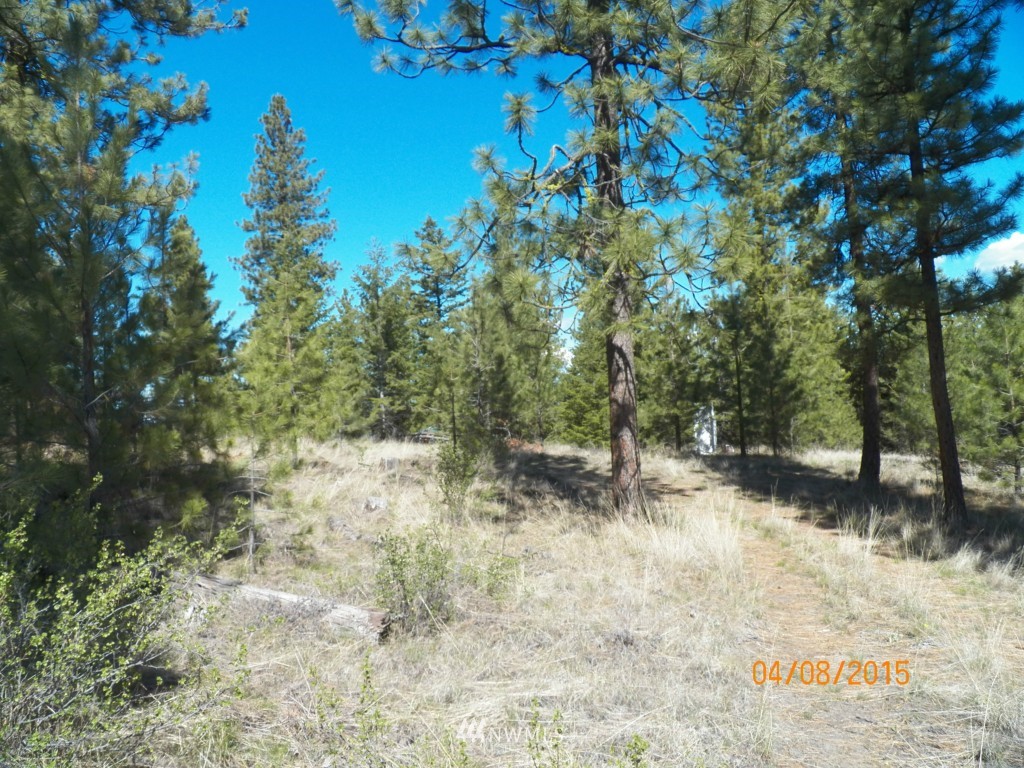 0 Lot 102 Red Feather Road West Riverside, WA 98849 - Photo 4 of 25 Gallery Image 4