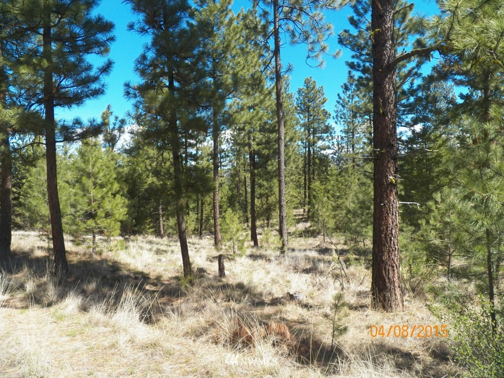 0 Lot 102 Red Feather Road West Riverside, WA 98849 - Photo 5 of 25 Gallery Image 5