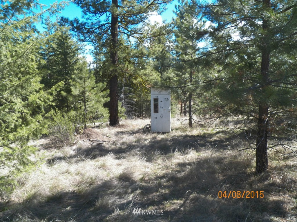 0 Lot 102 Red Feather Road West Riverside, WA 98849 - Photo 7 of 25 Gallery Image 7