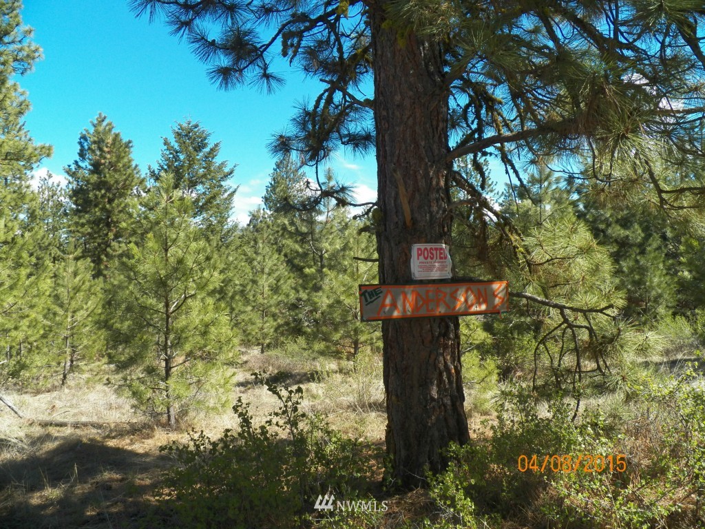 0 Lot 102 Red Feather Road West Riverside, WA 98849 - Photo 8 of 25 Gallery Image 8