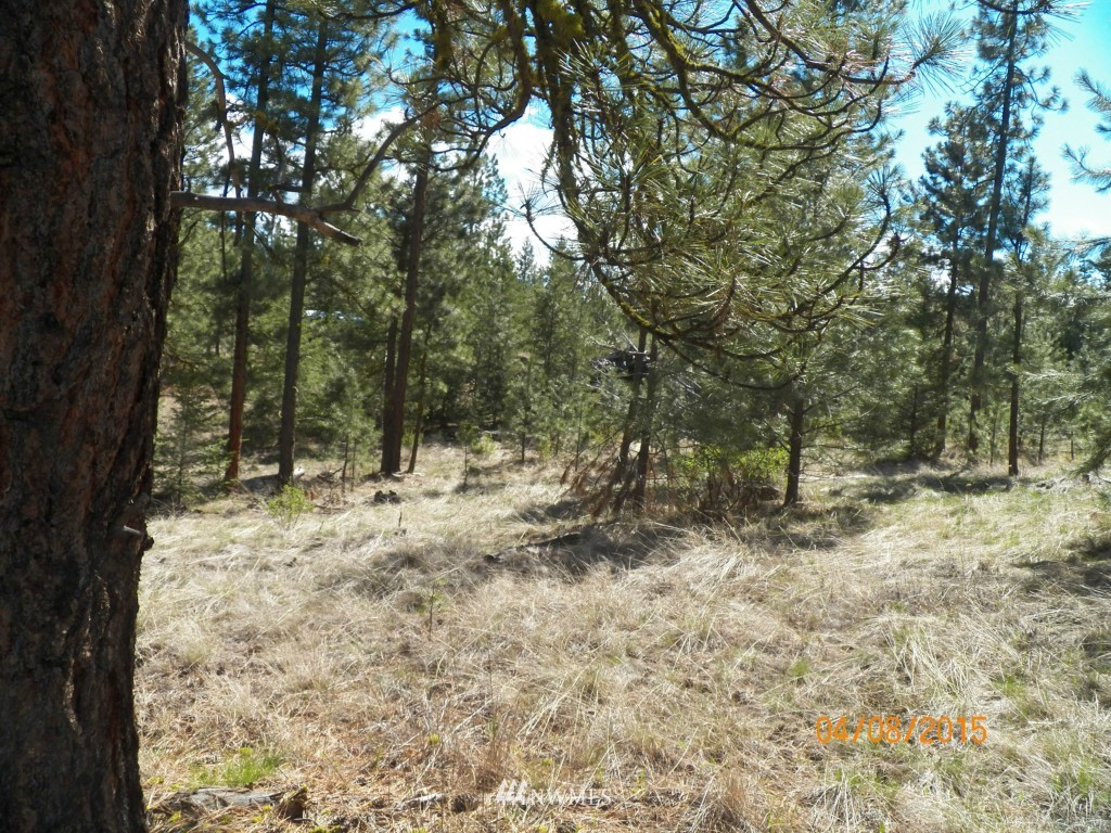 0 Lot 102 Red Feather Road West Riverside, WA 98849 - Photo 10 of 25 Gallery Image 10