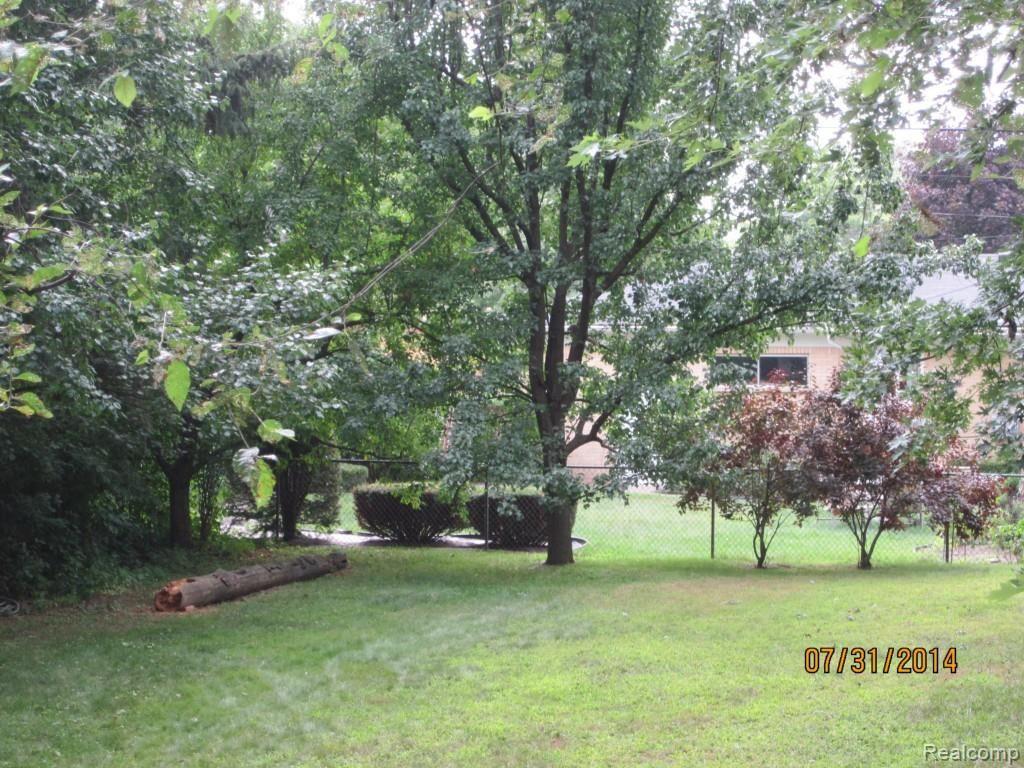14401 Inkster Road Livonia, MI 48154 - Photo 51 of 53 Treed yard.jpg